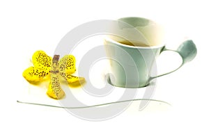 Tea time, yellow orchid