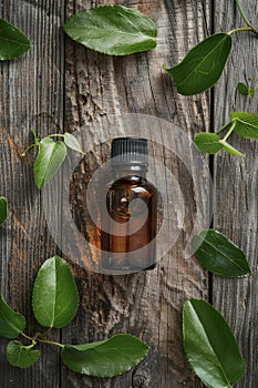 tea tree essential oil in a bottle. selective focus.