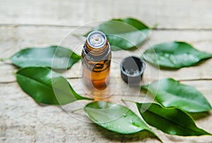 Tea tree essential oil in a small bottle. Selective focus