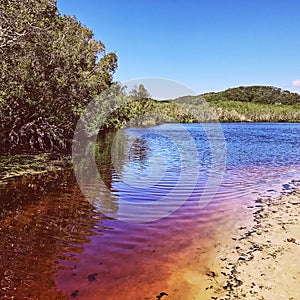 Tea Tree Lake, Byron Bay, NSW, Australia photo