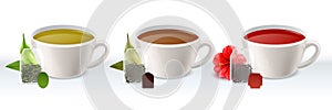 Tea types. Green black and hibiscus hot natural beverages. Fresh leaves and teabags, realistic white cups with liquid photo