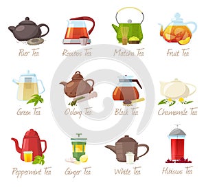 Tea vector puer-tea and rooibos or matcha fruity drinks in teapot illustration drinking set of green or black tea in