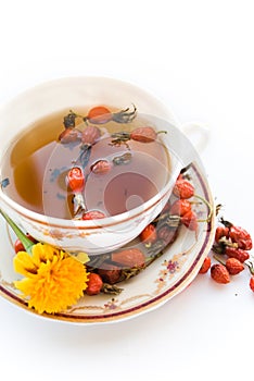 Tea with a wild rose