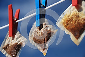 Teabags on a washing line photo