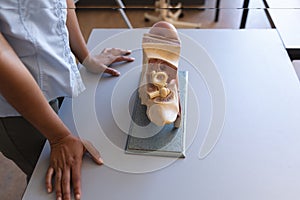 Teacher and anatomic model at desk in classroom