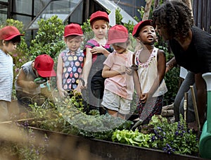 Teacher and kids school learning ecology gardening