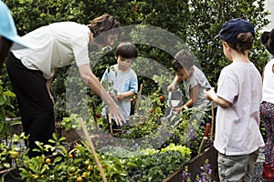 Teacher and kids school learning ecology gardening