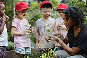 Teacher and kids school learning ecology gardening