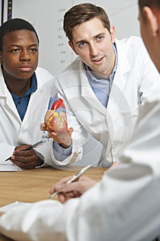 Teacher With Model Heart In Biology Lesson