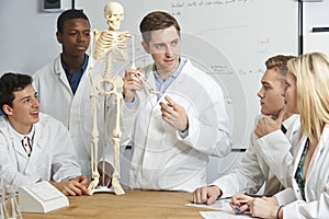 Teacher With Model Of Human Skeleton In Biology Class