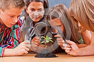 Teacher and pupils in biology class