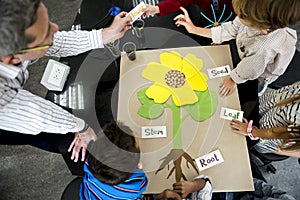 Teacher teaching flower structure to diverse kindergarten