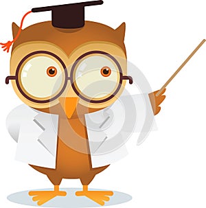 Teaching owl