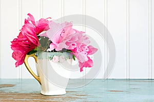 Teacup with azalea flowers photo