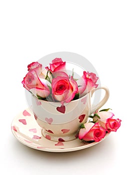 Teacup with roses photo