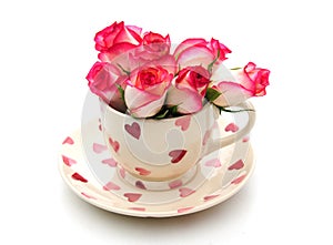 Teacup with roses