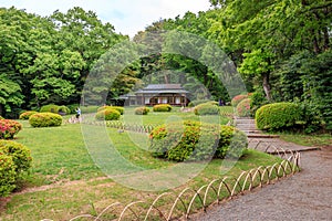 Teahouse in Meiji Jingu park, Tokyo, Japan