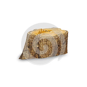 Teak stump isolated on white background with clipping path,