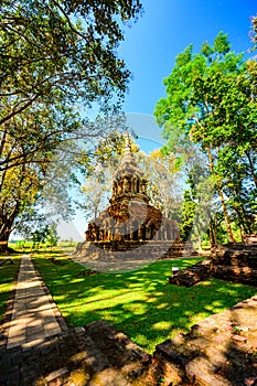 Teak tree with old pagoda in Pa Sak temple