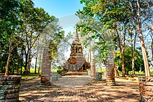 Teak tree with old pagoda in Pa Sak temple