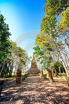 Teak tree with old pagoda in Pa Sak temple