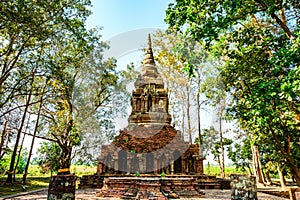 Teak tree with old pagoda in Pa Sak temple