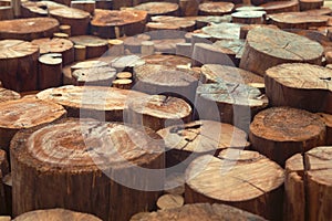 Teak wood stumps background with narrow focus