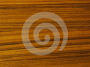 Teak wood texture