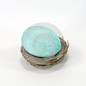 Teal or Blue-Green Egg in Nest