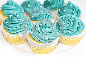 Teal Cupcakes photo