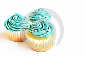 Teal Cupcakes Isolated