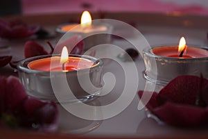 Tealight candles with Helleborus flowers on a tray