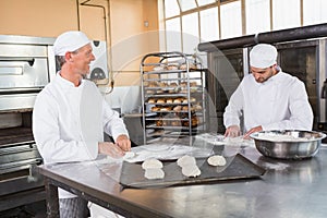 Team of bakers preparing dough