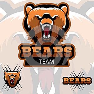 Team bears mascot logo. Modern sport logotype
