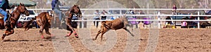 Team Calf Roping At A Country Rodeo