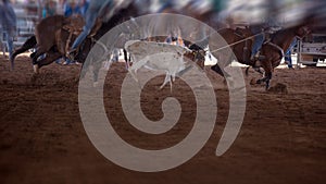 Team Calf Roping Event At Indoor Rodeo