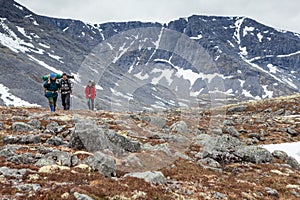 Team of Caucasian hikers coming on stone terrain in mountains, hiking in northern tundras