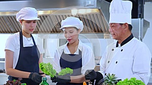 Team chef instruction and explaining apprentice about cooking and preparing vegetable fresh for food together in the kitchen.