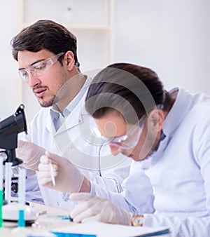 Team of chemists working in the lab