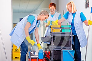 Team of cleaning ladies working