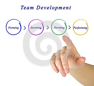 Team Development photo
