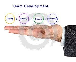 Team Development Process photo