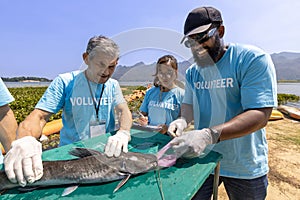 Team of ecologist volunteer pulling non biodegradable micro plastic from the endanger species fish due to the irresponsible waste