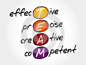 TEAM - Effective, Precise, Creative, Competent