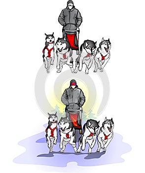 Team of four sports sled dogs with dog-driver photo