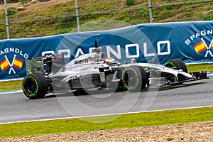 Team McLaren F1, Kevin Magnussen, 2014