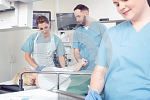 Team of nurses and doctors preparing for endoscopy examination