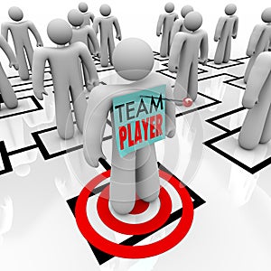 Team Player Targeted in Organizational Org Chart Teamwork