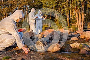 Team of researchers analyzing water sample at seashore