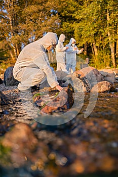 Team of researchers analyzing water sample at seashore